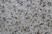 IDS Stone Marble 0518